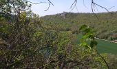 Trail Walking Busy - Busy Vierge du mont - Photo 1