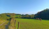 Tour Wandern Sprimont - dans la campagne de Florzé Sprimont  - Photo 13