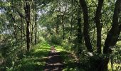 Tour Zu Fuß Söhrewald - Stellbergsee - Eschenstruth - Photo 8