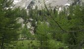 Tocht Stappen Saint-Martin-Vésubie - Boreon, Refuge Cougourde, Lac Trecolpas - Photo 5