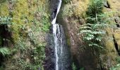 Tour Wandern Urmatt - Cascade Soultzbach - Urmatt - Photo 4