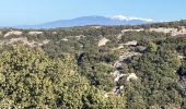 Excursión Ruta Cheval-Blanc - Campanette-Buisses-Cantian - Photo 1