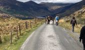 Randonnée Marche Kenmare Municipal District - Gap of Dunloe - Photo 1