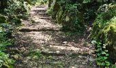 Trail Walking Sainte-Anastasie-sur-Issole - Saint Quinis - Ste Anastasie - Photo 14