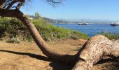 Tour Wandern Cannes - Île Sainte Marguerite  - Photo 2