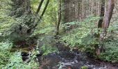 Tour Wandern Bad Wildbad - Kleinenzhof forellenpark - Photo 4