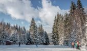 Tour Zu Fuß okres Detva - Náučný chodník k prameňu Ipľa - Photo 1