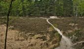 Randonnée A pied Brüggen - Rundweg 