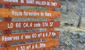 Excursión Senderismo Saint-Vallier-de-Thiey - Pont de Nans : la montagne de Thiey - Photo 2