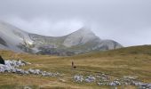 Tour Wandern Saint-Agnan-en-Vercors - Aiguillette ou Petit Veymont par la Coche - Grande Cabane - Photo 5