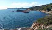 Percorso Marcia Hyères - sentier du littoral Giens-La tour fondue - Photo 3
