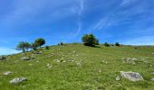 Trail Walking Recoules-d'Aubrac - Au temps des fleurs et des genêts - Photo 17