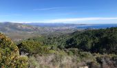 Trail Walking Saint-Raphaël - Les suvières via le pic de l'ours depuis ND - Photo 12