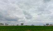 Tour Wandern Eijsden-Margraten - mesch - ketten - mesch - Photo 18