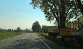 Tour Zu Fuß Schollbrunn - Rote Schnepfe, Rundwanderweg Schollbrunn - Photo 9