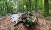 Randonnée Marche Clervaux - Escapardenne Eisleck Trail: Clervaux - Moulin d'Asselborn - Photo 15