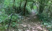 Trail Walking Yvoir - Durnal / 2020-07-19 / 15 km - Photo 11