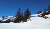 Tour Skiwanderen Puy-Saint-Pierre - Puy St pierre le prorel  - Photo 10