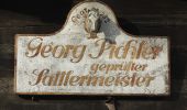 Tocht Te voet Goldegg - Goldegg-Schwarzach über Schernberg - Photo 2