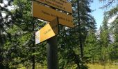 Trail Walking Puy-Saint-Vincent - Psv 1800 vers les Tournoux et le lac des Charbonnières - Photo 3