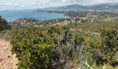 Trail Walking Le Pradet - Les 3 forts-la Garonne-21-04-23 - Photo 13