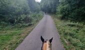 Trail Horseback riding Turquestein-Blancrupt - randonnée turquestein direction Celles-sur-Plaine  - Photo 1