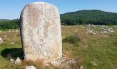 Trail Walking Nages - lac du Laouzas - ferme de Payrac - Photo 2