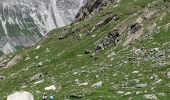 Excursión Senderismo Pralognan-la-Vanoise - Montaimont Cirque du Genepy-lac du Clou - Photo 6