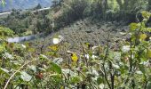 Randonnée Marche Baños de Agua Santa - Baños - Casa del Arbol - Photo 18