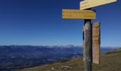 Trail Walking Châtel-en-Trièves - le Rattier - Photo 1