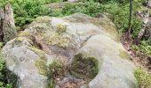 Randonnée Marche Vexaincourt - Vosges - Vexaincourt - Lac de la Maix- sentier des myrtilles  - Photo 1