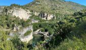 Randonnée Marche Gorges du Tarn Causses - Saint Chely 17 km - Photo 3