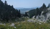 Excursión Senderismo Saint-Agnan-en-Vercors - Rocher de la Peyrouse - Photo 3