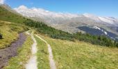 Trail Walking Naters - De Belalp à Nessel par le bisse de Nessjeri - Photo 3