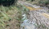 Trail Walking Theux - Tancremont 8 Km  - Photo 1