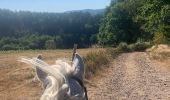 Trail Horseback riding Cheniménil - Chenimenil - La Haute Verrière  - Photo 1