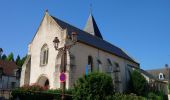 Tour Wandern Limeray - Limeray - Sentier des terroirs - 14.2km 115m 3h25 - 2023 06 25 - Photo 6