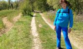 Trail Walking Bacouel-sur-Selle - Bacouel sur Selle - Photo 2