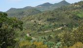 Randonnée Marche Fréjus - PK Malpasset - Vallon de Jasnin - Photo 3