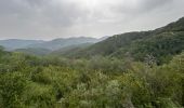 Trail Horseback riding Valle de Hecho - Siresa - Anso  - Photo 13