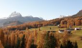 Tocht Te voet Cortina d'Ampezzo - Sentiero C.A.I. 202 - Photo 2