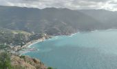 Tocht Stappen Monterosso al Mare - Monterosso to Levanto - Photo 11