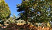 Tour Wandern Rocles - Palhères - lac de Naussac - Bessettes - Photo 4