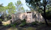 Excursión Senderismo Le Val - Trace_Le_Val - Photo 11