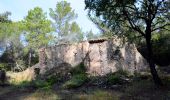 Tour Wandern Le Val - Trace_Le_Val - Photo 11