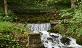 Excursión Senderismo Divonne-les-Bains - Randonnée - Photo 15