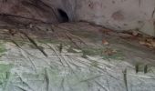 Tocht Stappen Janville-sur-Juine - grotte gillevoisin Sp - Photo 8