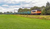 Tour Zu Fuß Lochem - Gorsselse Heide route - Photo 2