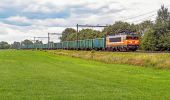 Tour Zu Fuß Lochem - Gorsselse Heide route - Photo 2