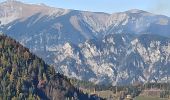 Tocht Te voet Gemeinde Spital am Semmering - Semmering - Sonnwendstein über Dürrgraben - Photo 6